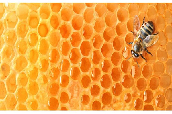 蜂蜜怎么吃？蜂蜜和水果能一起吃吗？